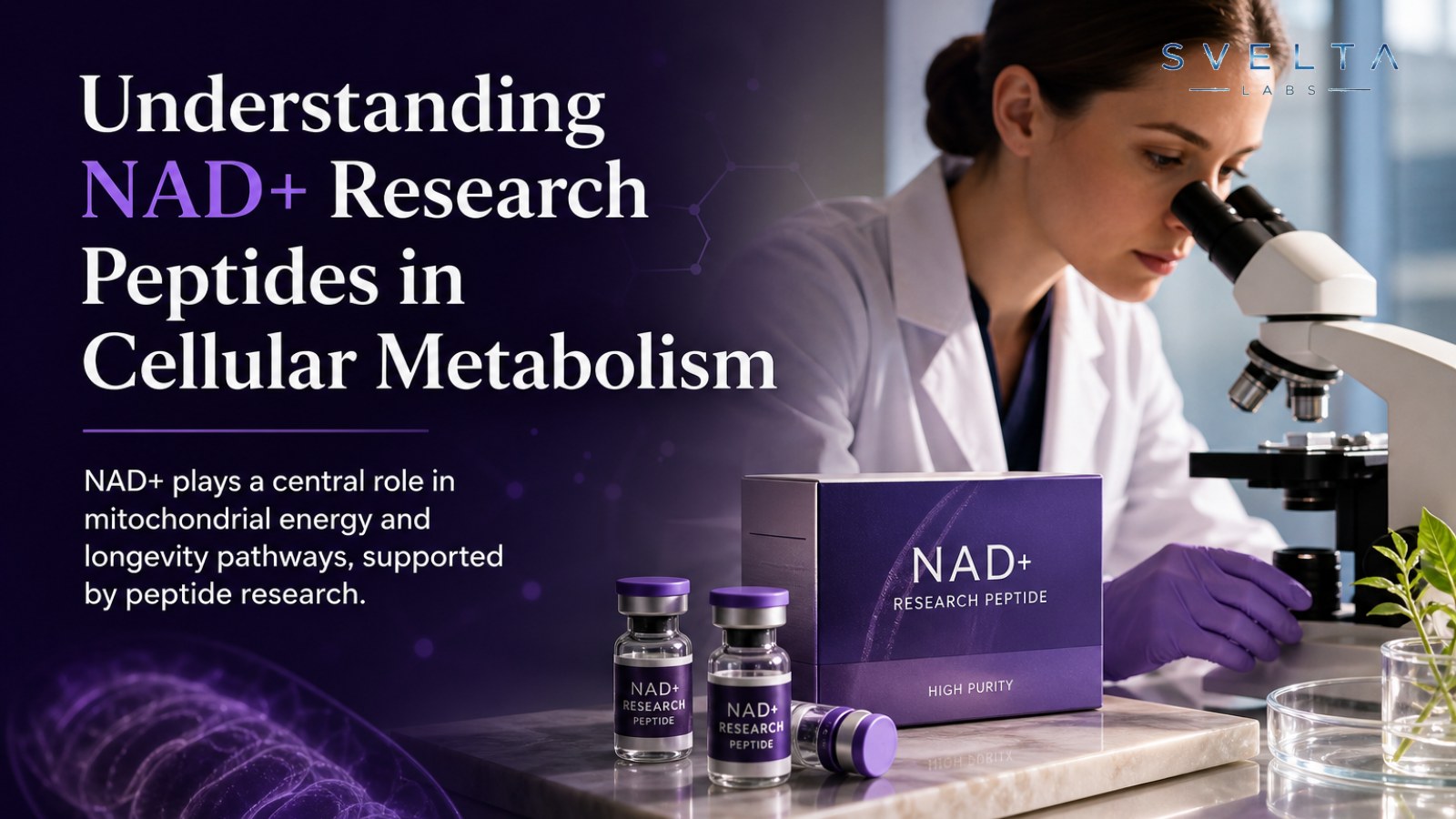 Is NAD+ a Peptide? Understanding the Coenzyme and Research Claims